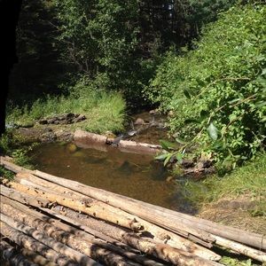 Meet your Posher, Trevor